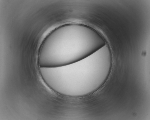 X0000115721424200911121052