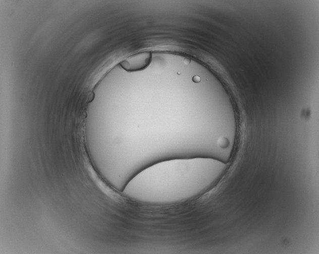 X0000115721425200911121052