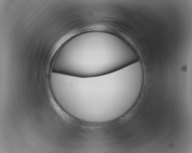 X0000115721426200911121052