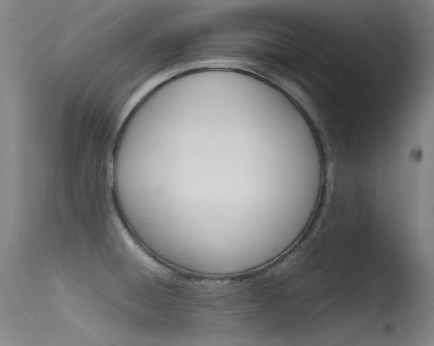 X0000115721428200911121052