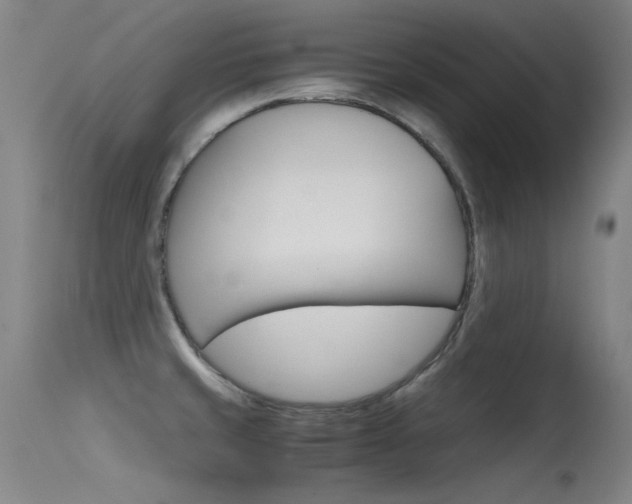 X0000115721429200911121052