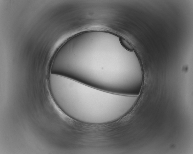 X0000115721430200911121052
