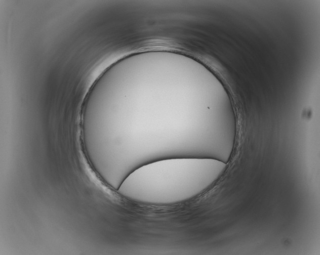 X0000115721431200911121052