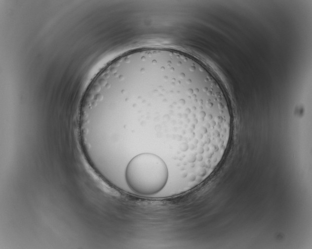 X0000115721432200911121052