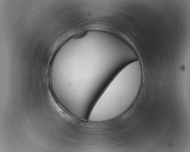 X0000115721434200911121052
