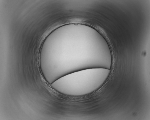 X0000115721435200911121052