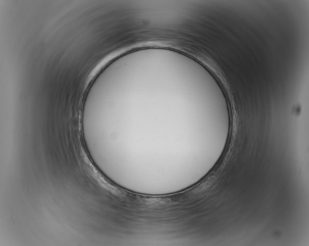 X0000115721436200911121052