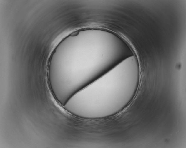 X0000115721437200911121052
