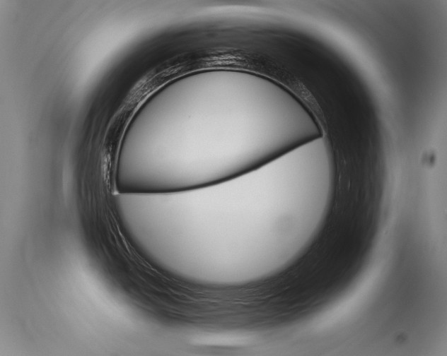 X0000115721438200911121052