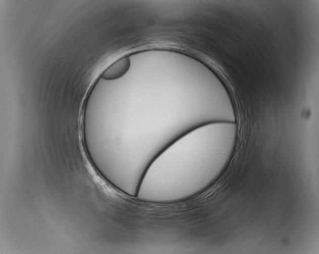 X0000115721439200911121052