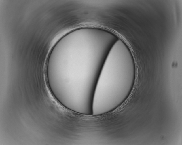X0000115721440200911121052