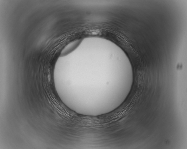 X0000115721442200911121052