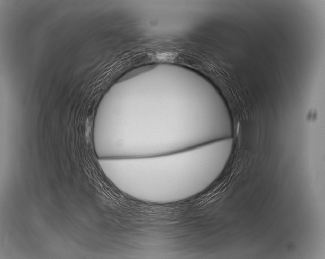 X0000115721443200911121052