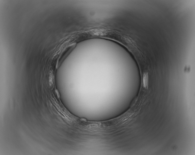 X0000115721444200911121052