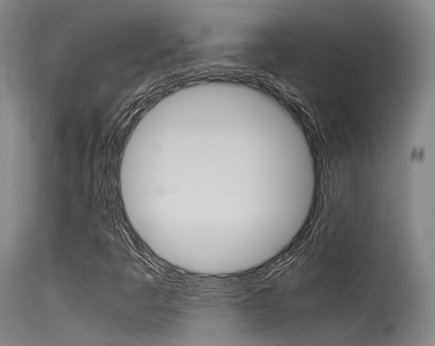 X0000115721445200911121052