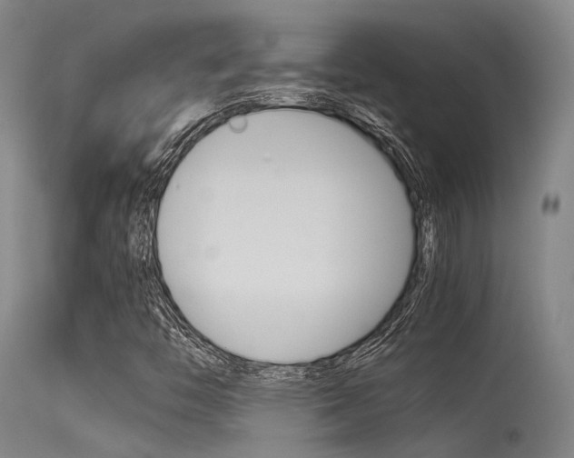 X0000115721446200911121052