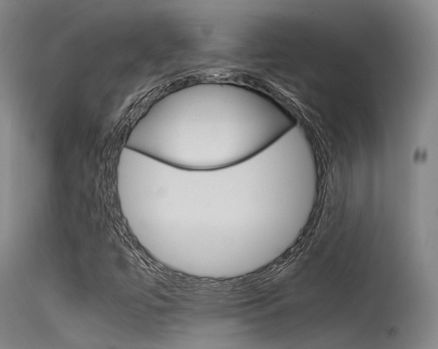 X0000115721447200911121052