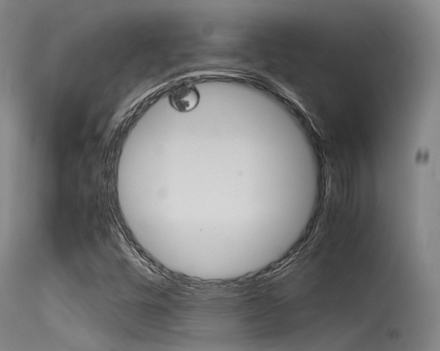 X0000115721448200911121052