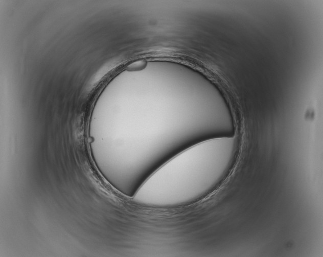 X0000115721450200911121052
