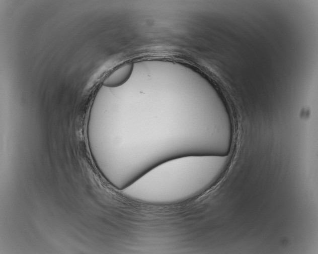 X0000115721451200911121052
