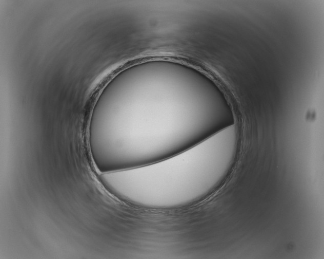 X0000115721452200911121052