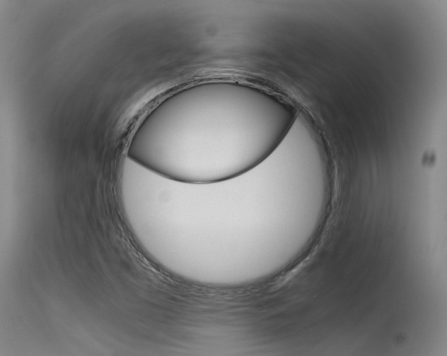 X0000115721453200911121052