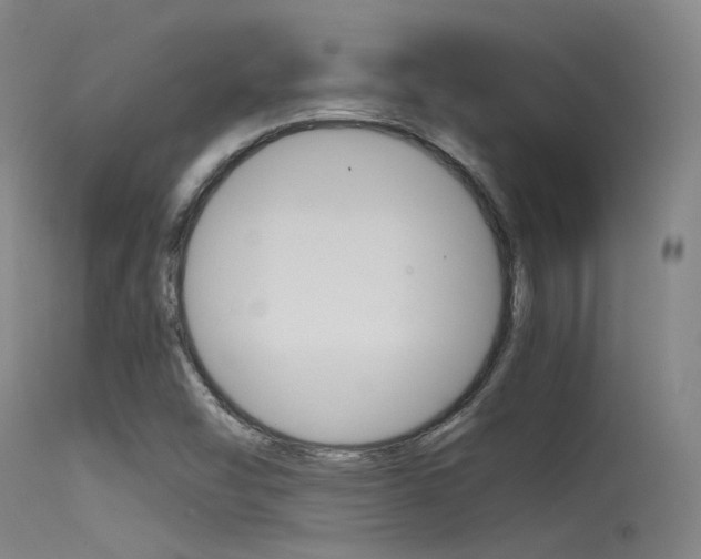 X0000115721454200911121052