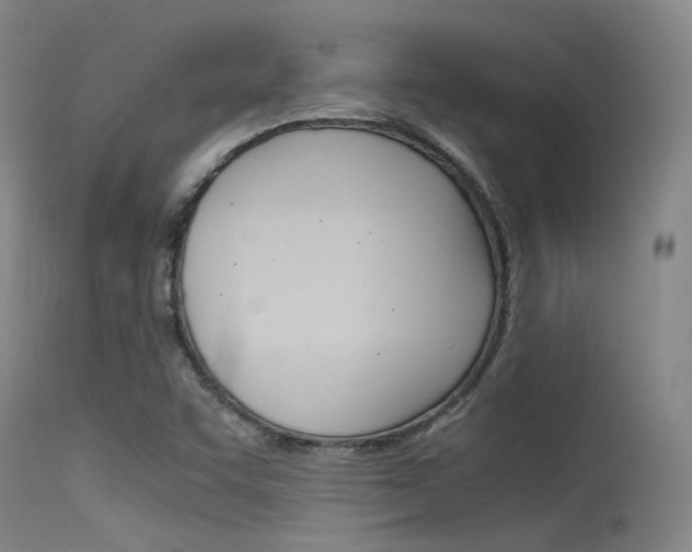 X0000115721455200911121052