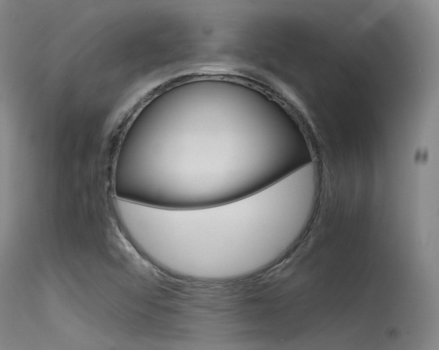 X0000115721456200911121052