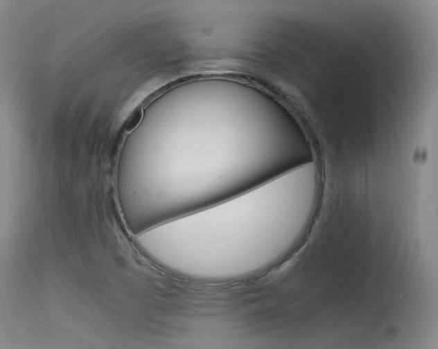 X0000115721457200911121052