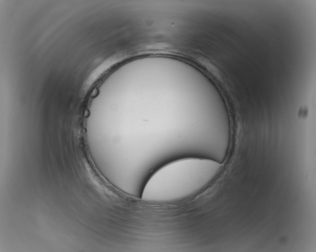 X0000115721458200911121052