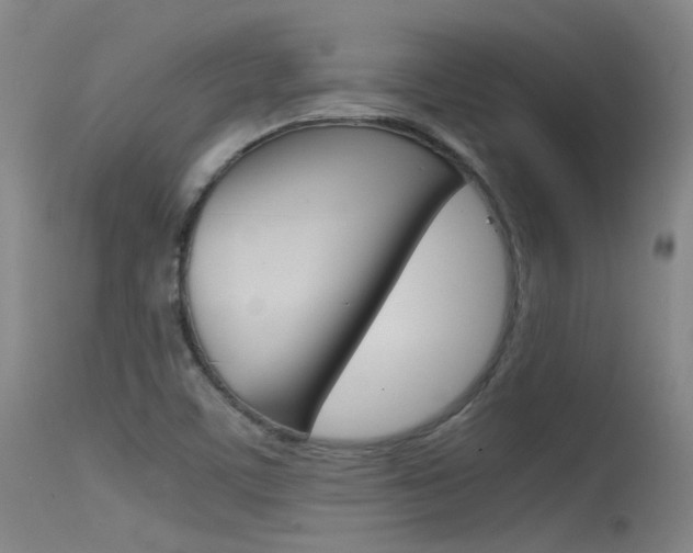 X0000115721459200911121051