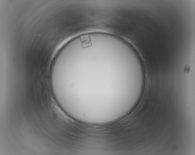 X0000115721460200911121051