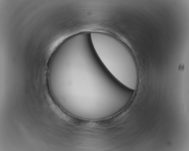 X0000115721463200911121051