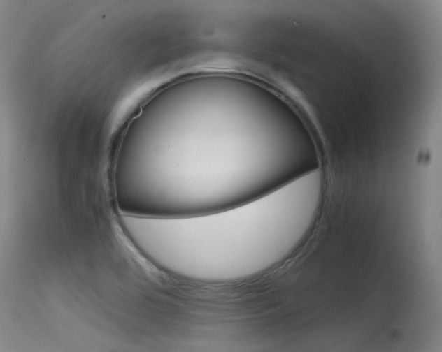 X0000115721464200911121051