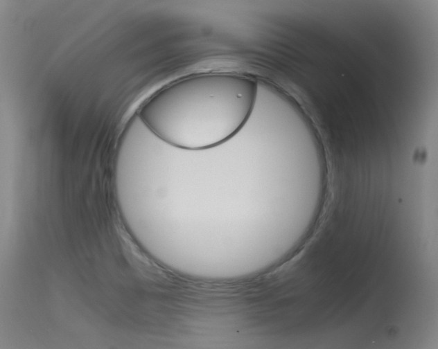 X0000115721465200911121051