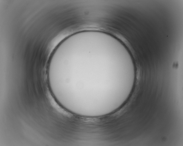 X0000115721466200911121051