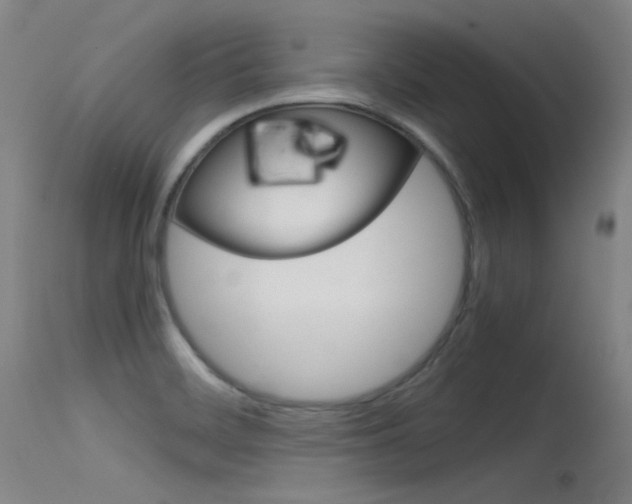 X0000115721468200911121051