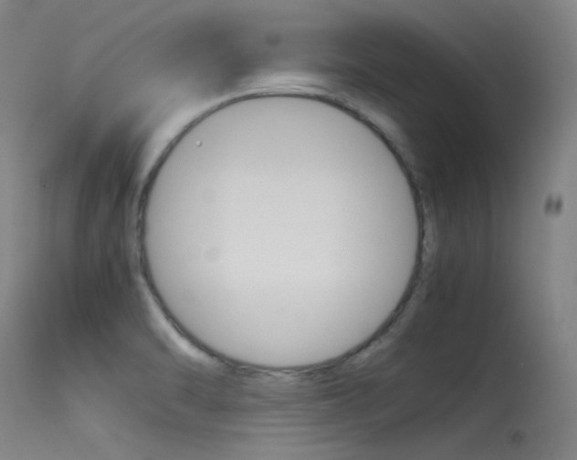 X0000115721470200911121051
