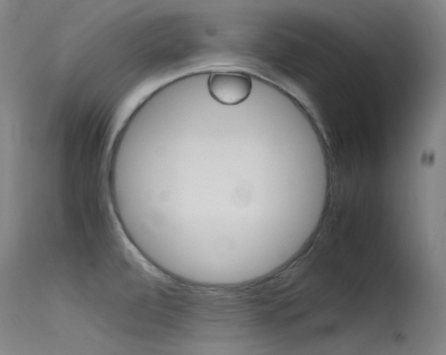 X0000115721472200911121051