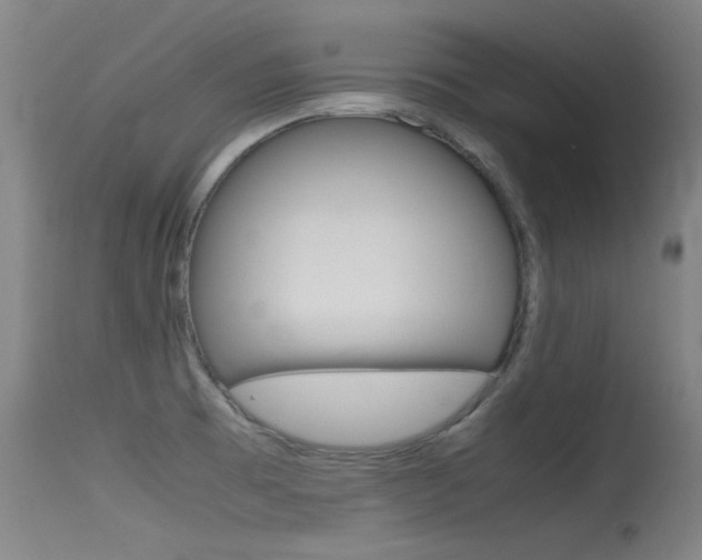 X0000115721473200911121051