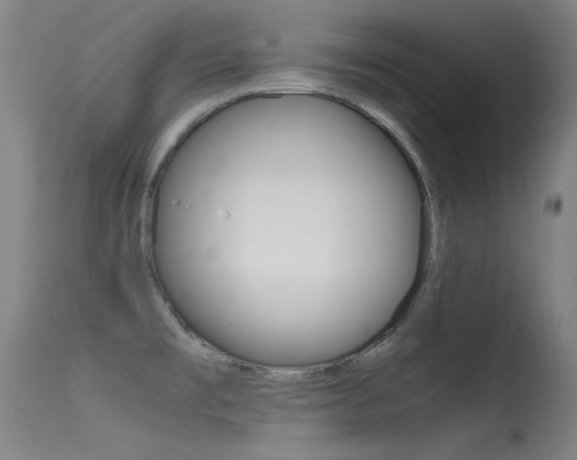 X0000115721477200911121051