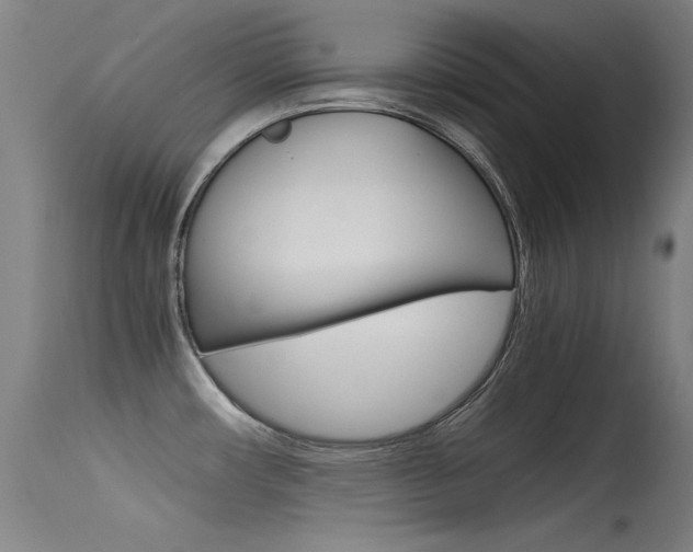 X0000115721482200911121051