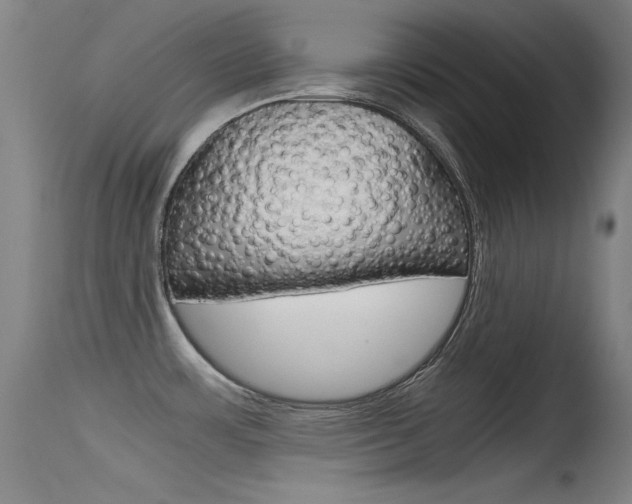X0000115721483200911121051