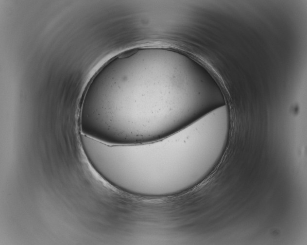 X0000115721484200911121051