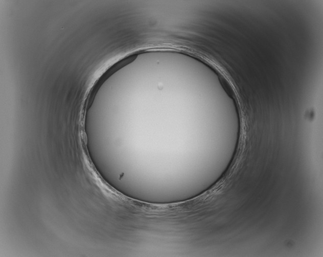X0000115721485200911121051