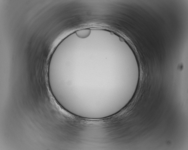 X0000115721486200911121051