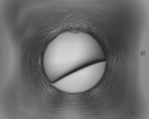 X0000115721489200911121050