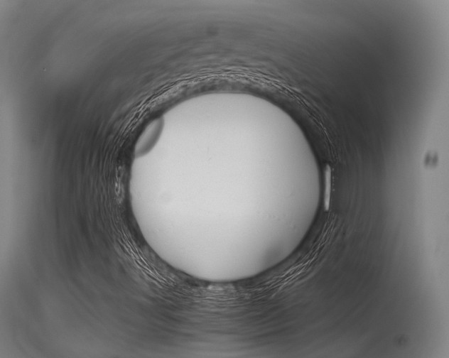 X0000115721491200911121050