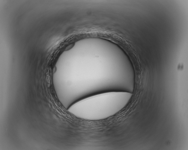 X0000115721493200911121050